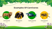 101206-biology-subject-for-pre-k-food-chain-07