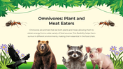 101206-biology-subject-for-pre-k-food-chain-08