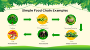 101206-biology-subject-for-pre-k-food-chain-09
