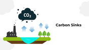 101331-carbon-sinks-01