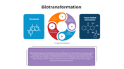 101376-biotransformation-01