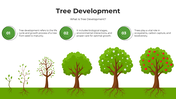 101408-tree-development-01