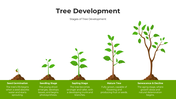 101408-tree-development-02