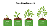101408-tree-development-03