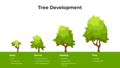 101408-tree-development-04