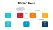101414-carbon-cycle-02