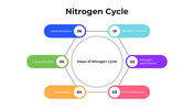 101418-nitrogen-cycle-04