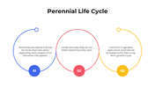 101419-perennial-life-cycle-01