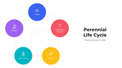 101419-perennial-life-cycle-03