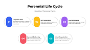 101419-perennial-life-cycle-05