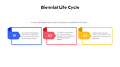 101440-biennial-life-cycle-03