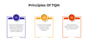 101608-principles-of-tqm-01