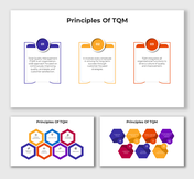 Principles Of TQM slides with colorful hexagons, step boxes, and icons showing quality and process strategies.