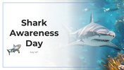 101613-shark-awareness-day-01