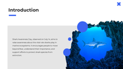 101613-shark-awareness-day-02