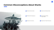 101613-shark-awareness-day-04