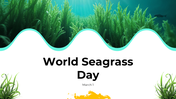 101617-world-seagrass-day-01