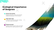 101617-world-seagrass-day-04
