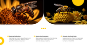 101626-dont-step-on-a-bee-day-05