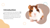 101627-guinea-pig-appreciation-day-02