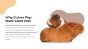 101627-guinea-pig-appreciation-day-03
