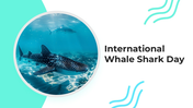 101632-international-whale-shark-day-01