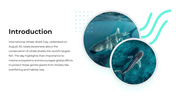 101632-international-whale-shark-day-02