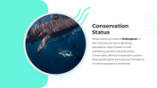 101632-international-whale-shark-day-04