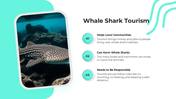 101632-international-whale-shark-day-05