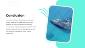 101632-international-whale-shark-day-07