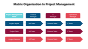 102002-matrix-organisation-in-project-management-03