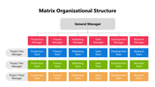 102003-matrix-organizational-structure-01