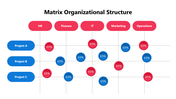 102003-matrix-organizational-structure-07