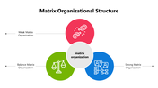 102003-matrix-organizational-structure-08