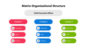 102003-matrix-organizational-structure-10