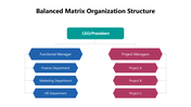 102004-balanced-matrix-organization-structure-02
