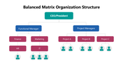 102004-balanced-matrix-organization-structure-04
