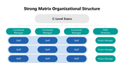 102006-strong-matrix-organizational-structure-01