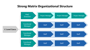 102006-strong-matrix-organizational-structure-02