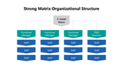 102006-strong-matrix-organizational-structure-03