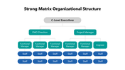 102006-strong-matrix-organizational-structure-04