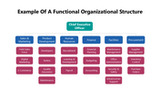 102008-example-of-a-functional-organizational-structure-01