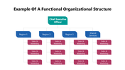 102008-example-of-a-functional-organizational-structure-02