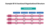102008-example-of-a-functional-organizational-structure-03