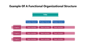 102008-example-of-a-functional-organizational-structure-05