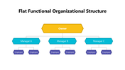 102009-flat-functional-organizational-structure-01
