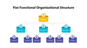 102009-flat-functional-organizational-structure-03