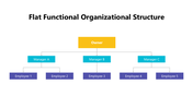 102009-flat-functional-organizational-structure-04