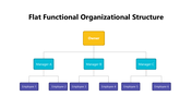 102009-flat-functional-organizational-structure-05