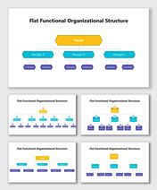 Flat Functional Organizational Structure showing owner, managers, and employees in a single-level hierarchy layout.